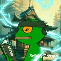 solidiyconsort's profile picture. 🎨 nft 🧩 utility 🕹️ gaming 👑 brand