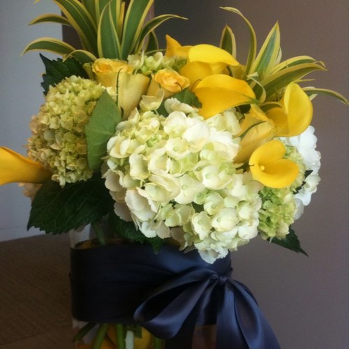 SusanCipione's profile picture. 