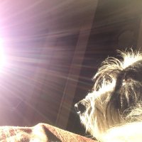 Atari (@atari195275) 's Twitter Profile