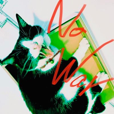 TaekoEndo's profile picture. 