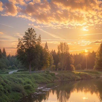 Asmacana's profile picture. السقوط هو جزء من الحياة والنهوض من جديد هو العيش☔️