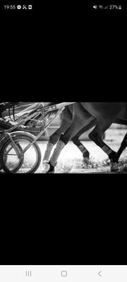 87Turfiste's profile picture. 1 pari par jour
1 mise de départ de 100 euros 
1 favori ou pas