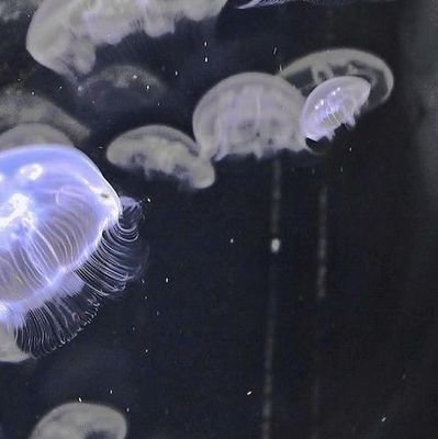 yvtt__'s profile picture. 