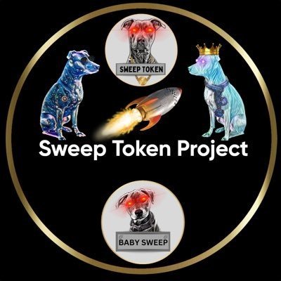 otten_raimonda's profile picture. A full stack website designer,marketing specialist and a crypto trader, chat moderator.