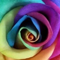 Jacques Morissette (@jacquesmor52296) 's Twitter Profile