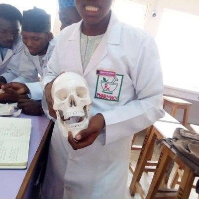 LelleNormand's profile picture. artist photography