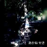 akaneaseki's profile picture. 
