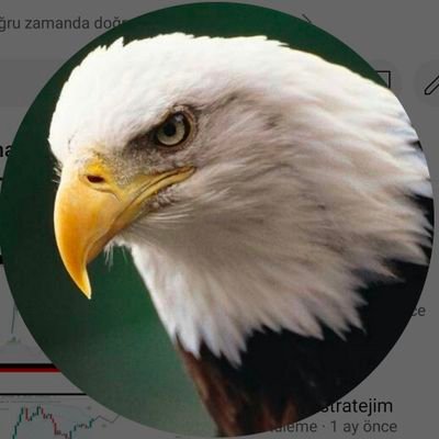 Akıl en büyük sermaye, vicdan en iyi rehberdir.