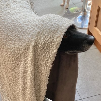 elliot_milo's profile picture. 