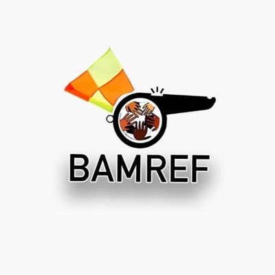 BAMERef Profile Picture