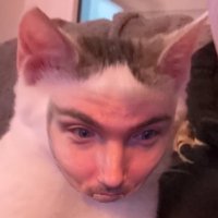 ChrisBD (@holychrisbd) 's Twitter Profile