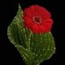 Shahbaz Ahmad (@shahbaz03968972) Twitter profile photo Shahbaz Ahmad (@shahbaz03968972) Twitter profile photo