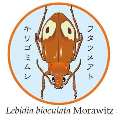 日本甲虫学会は甲虫のなかまを研究する人たちの集まりです。 
・会誌＝Elytra, new series（英文）、さやばね ニューシリーズ（和文）
・年次大会、東京・名古屋・大阪の地域例会、調査観察例会の開催
・会員数＝2022年11月現在で760名
　甲虫に関心ある方のご入会をお待ちしております。くわしくはサイトで。