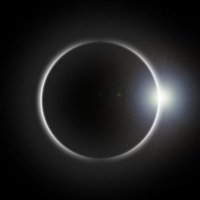 Brendan Barrows (@brendanbar22539) 's Twitter Profile