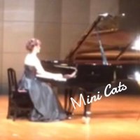 Mini Cats(@MiniCats_Piano) 's Twitter Profile Photo