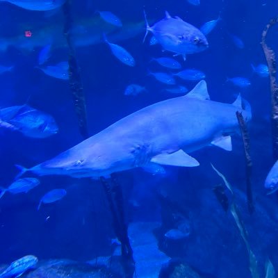 jayfit275's profile picture. 