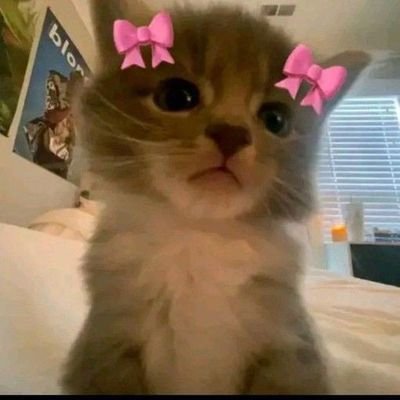 daisyさんのプロフィール画像