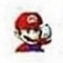 Mario loves you very much! 5 people run this account btw