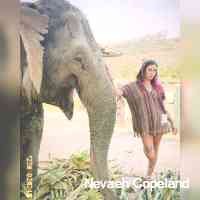 copeandnevah78's profile picture. 18 años🤯ÚNICA CUENTA DE IG. ❤️❤️