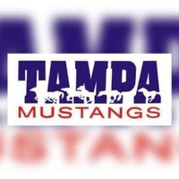 Tampa Mustangs RT 18u (@tampamustangsrt) Twitter profile photo