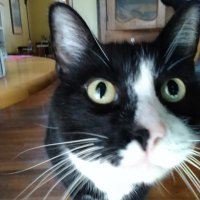 Madge Hermiston (@hermistonm23753) 's Twitter Profile