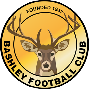 Official Bashley FC account. Pride of the New Forest. 
Members of @SouthernLeague1. #BackTheBash

Follow @BashleyDev for Under-23s & Under-18s.