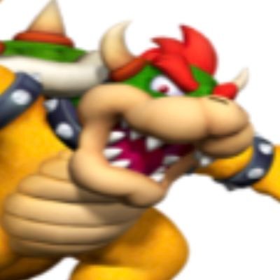 BowserFurry Profile Picture