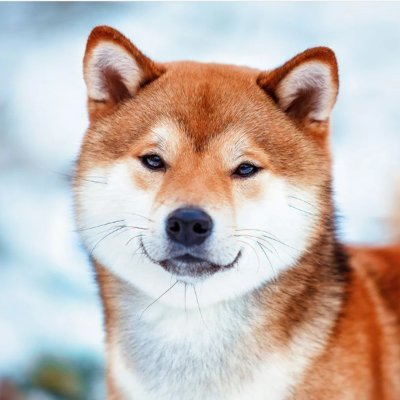 kevinfcarr's profile picture. 