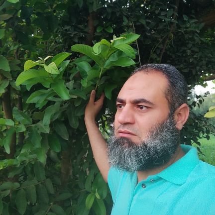 MohamedNeshwan's profile picture. حساب تانى