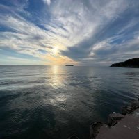 Michelle Deckow (@mdeckow19197) 's Twitter Profile