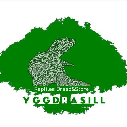 YGGDRASILL_gifu Profile Picture