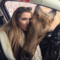 Jude Zemlak (@judezemlak39851) 's Twitter Profile
