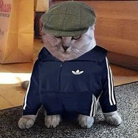 Samuel (@bharattaxoffice) 's Twitter Profile Photo Samuel (@bharattaxoffice) 's Twitter Profile Photo