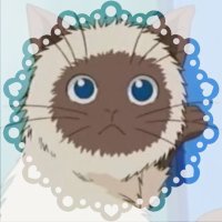 フウ太。 (@tori__337) 's Twitter Profile Photo フウ太。 (@tori__337) 's Twitter Profile Photo