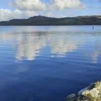 Steve Smith (@stevesm24554713) 's Twitter Profile