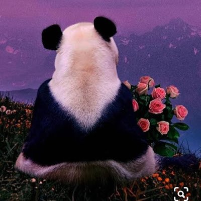 v5Uk7lBdaA54029's profile picture. 