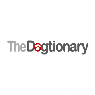 The Dogtionary is a website all about dogs. For all ages, stages and breeds. Woof!