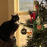Tressie Smith (@tressie4379) 's Twitter Profile