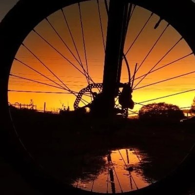 GabrielaRuizS11's profile picture. 