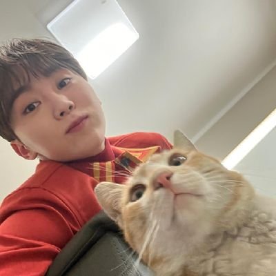 🧡 for #부승관 #SEUNGKWAN ☆ mostly cats 🐈  ☆ kinda inactive because of school :(