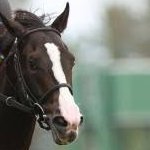 ユウタ馬🐎さんのプロフィール画像