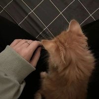 ʙɪʟᴀ (@gembiia) 's Twitter Profile