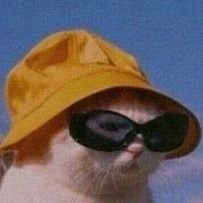 bibilovesmillie's profile picture. low profile