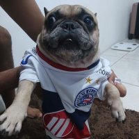 Genevieve Bechtelar (@bechtelar73556) 's Twitter Profile