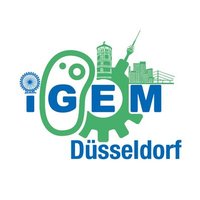 iGEM Duesseldorf 2024(@iGEM_HHU) 's Twitter Profile Photo