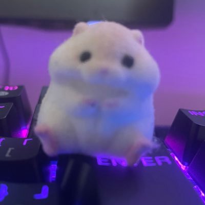 ちょこさんのプロフィール画像