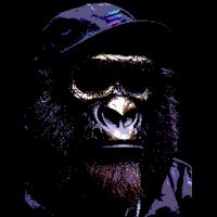 Flilab81⚡️🦍 (@flilab81) 's Twitter Profile