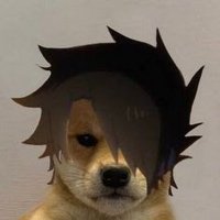 Dominique Catillo (@dominiquec48979) 's Twitter Profile