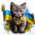 🇺🇦Жека Украинский🇺🇦 (@RossBar81190820) Twitter profile photo