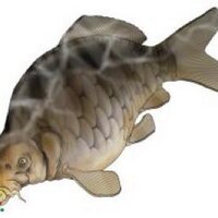 Wroxham Angling Club (@wroxhamangling) 's Twitter Profile